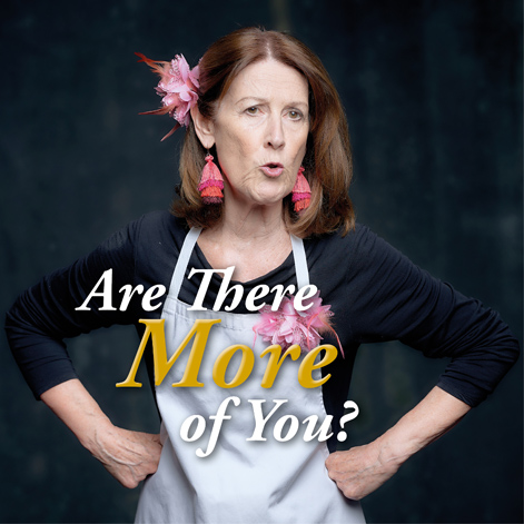 Hint of Lime Are There More of You 2019 tour show image - kickstarter