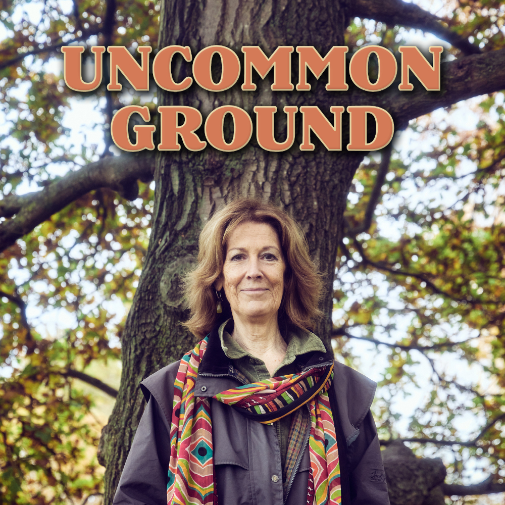 hint of lime uncommon ground 2022 show image v01 1000w (002)